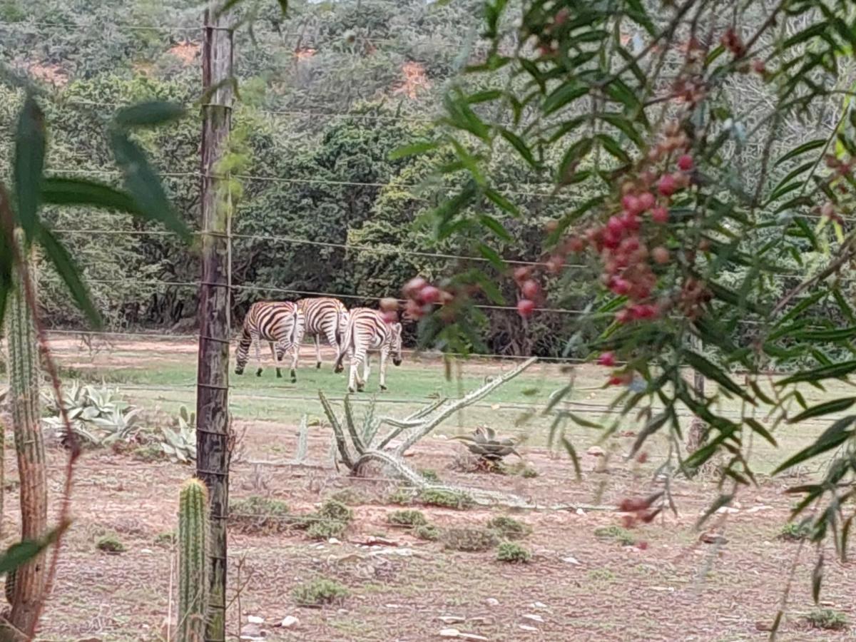 Harmony Luxury Tents & Safari Addo Exterior photo
