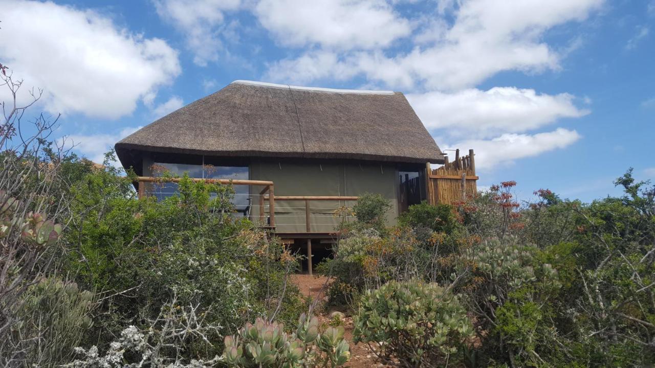 Harmony Luxury Tents & Safari Addo Exterior photo
